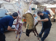   بالصور: أجواء عيد الأضحى المبارك وذبح الأضاحي في يافا، اللد والرملة 